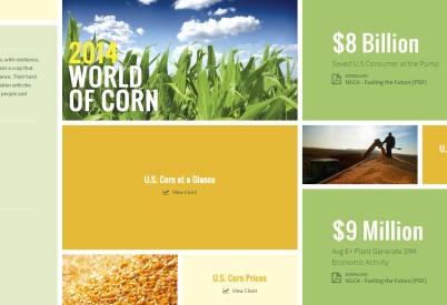 Find Corn Facts, Figures in World of Corn