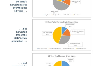 Graphics Show Value of Kansas Corn