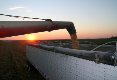 Onaga Grower Tops Kansas Corn Yield Contest Entrants