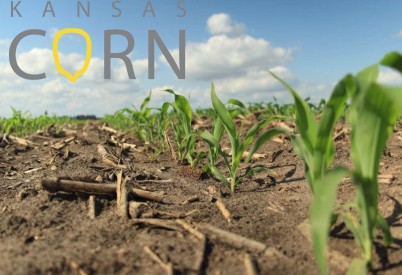 Kansas Corn Statement on the President’s Proposed Budget