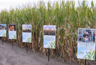 Kansas Corn Provides Educational Signs at Mazes Across the State