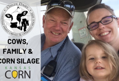 Ohlde Dairy: Cows, Family and Corn Silage