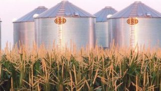 Kansas Corn Advocacy