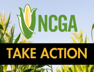 Ncga Take Action