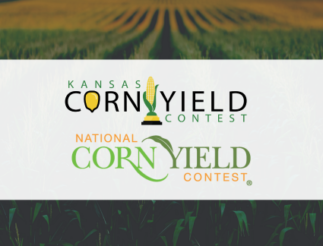 Yield Contest Web (1)