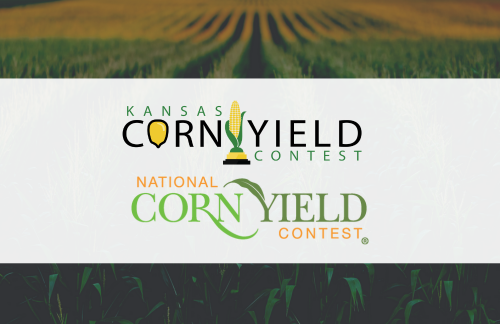 Yield Contest Web (1)