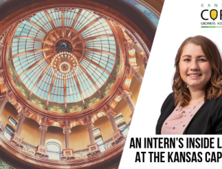 An Intern’s Inside Look At The Kansas Capitol