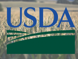 USDA Over Corn Website Picture