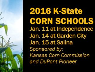 CornSchool Ad